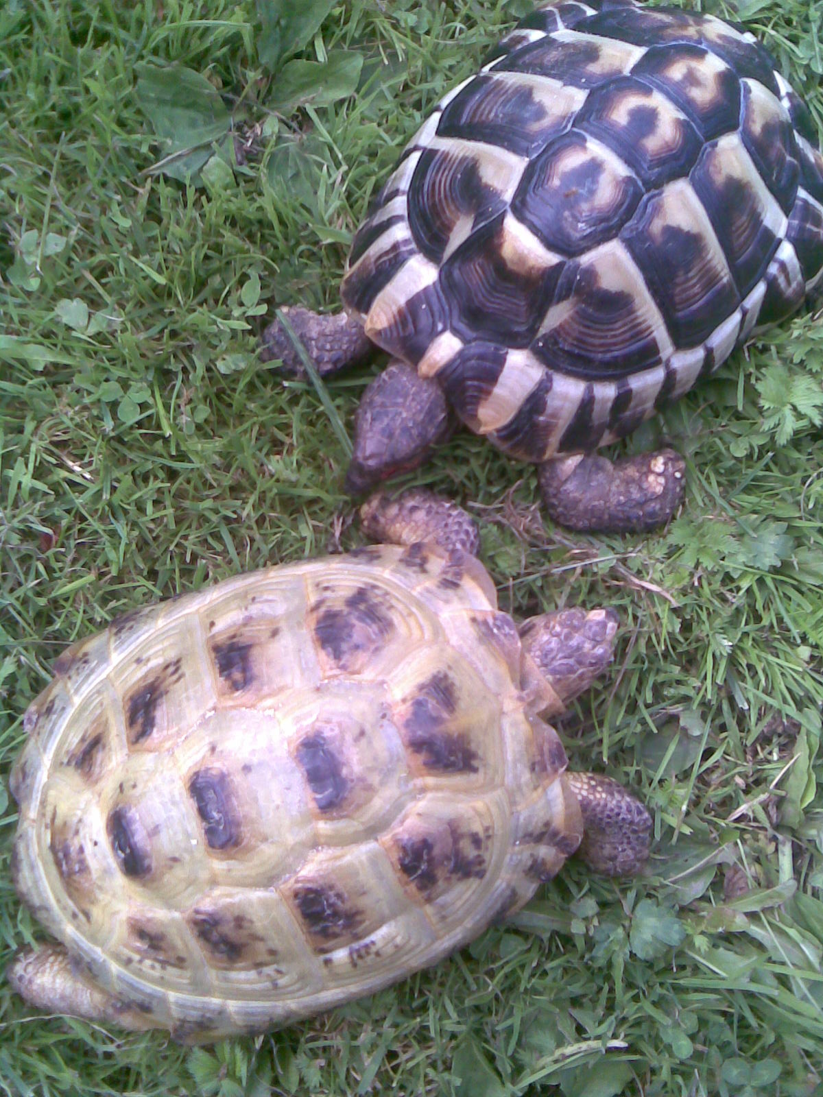 spolu vonku :)